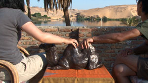 rubbing a camel